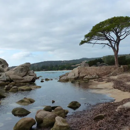 아파트 Moderne A Porto-vecchio - Piscine Partagee *
