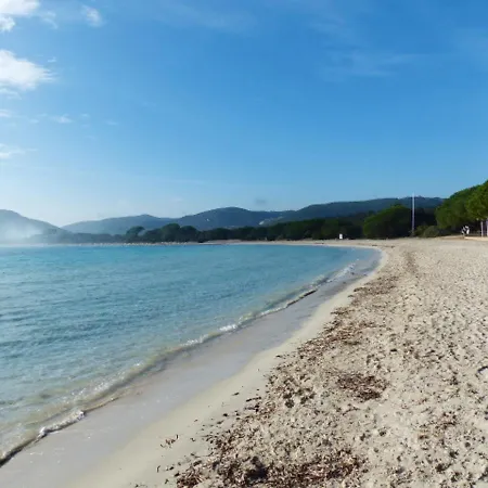 Moderne A Porto-vecchio - Piscine Partagee *