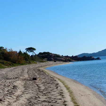 Moderne A Porto-vecchio - Piscine Partagee * 포르토베쉬오