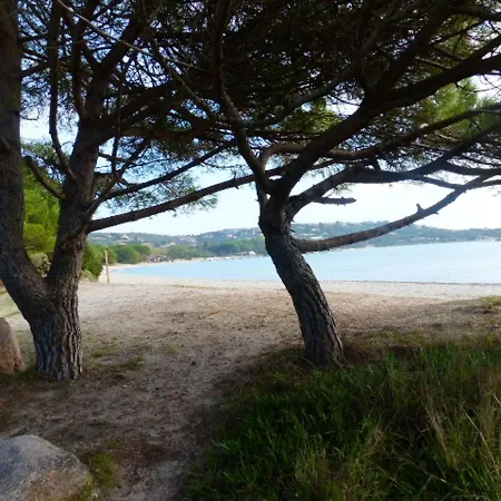 Moderne A Porto-vecchio - Piscine Partagee 포르토베쉬오